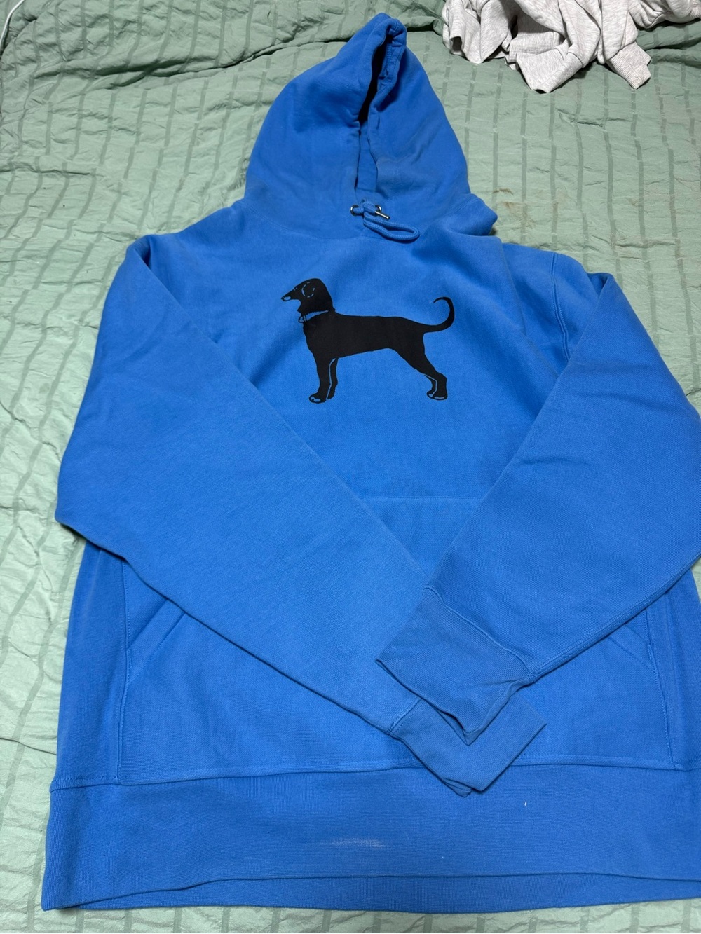 The Black Dog Royal Blue Hoodie with Black Dog Graphic